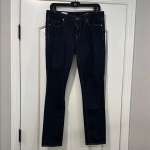 GAP 1969 Classic Skinny Blue Women's Jeans Size 28r